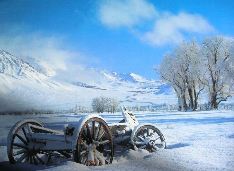 Abandoned Wagon in Snow — White