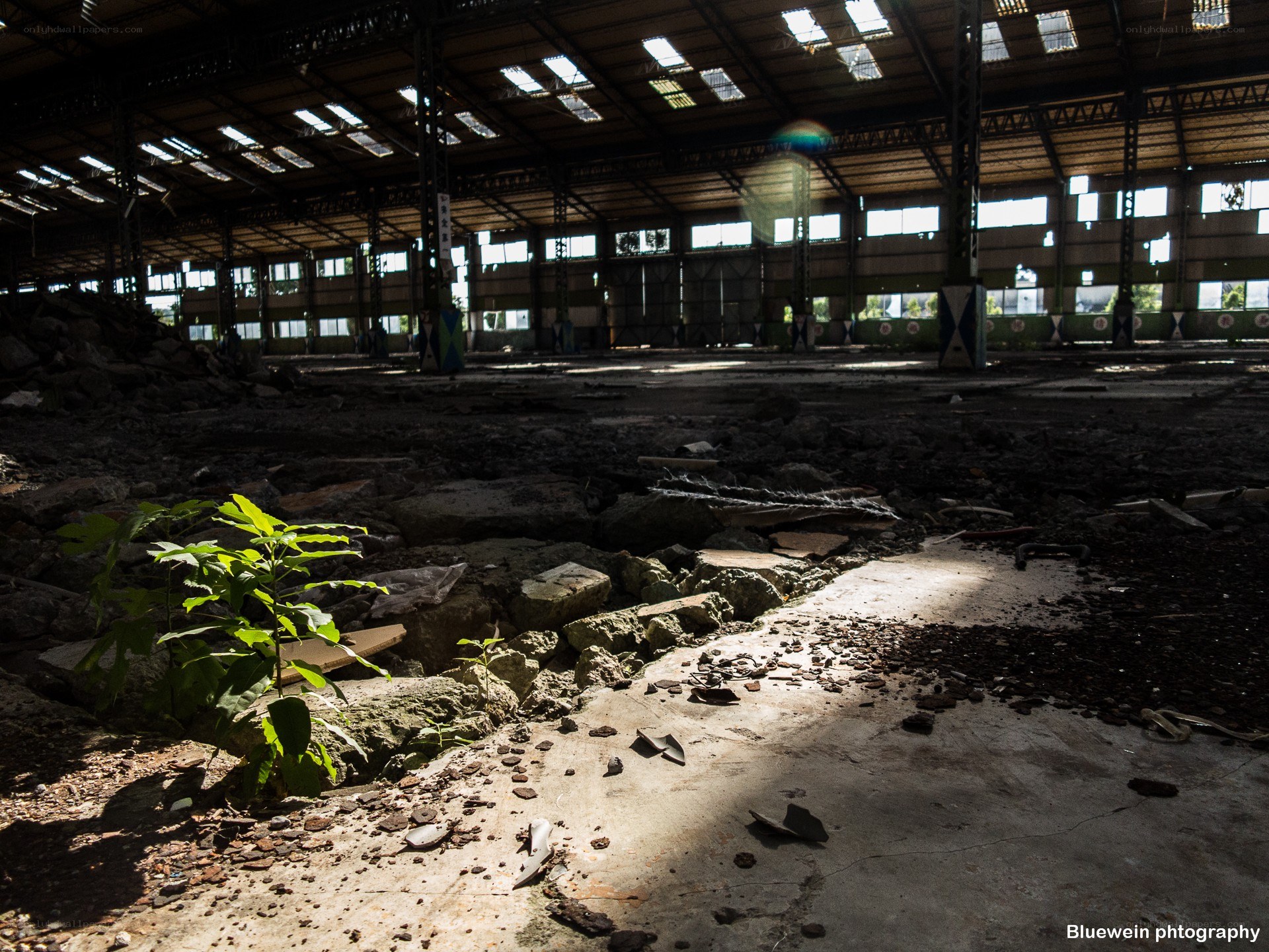 Abandoned warehouse with plant growth