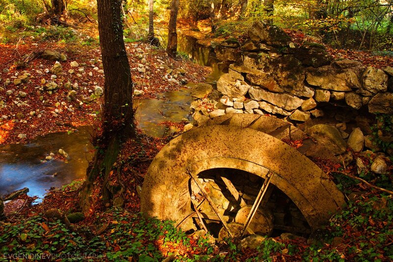 Abandoned Water Wheel