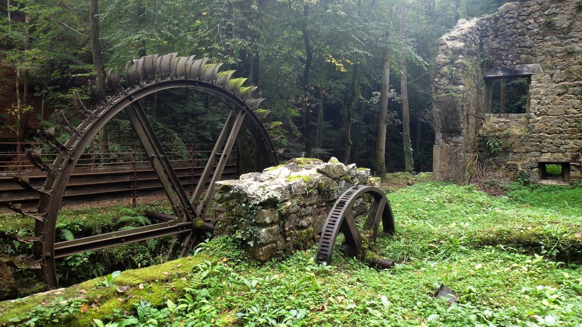 Abandoned watermill in forest