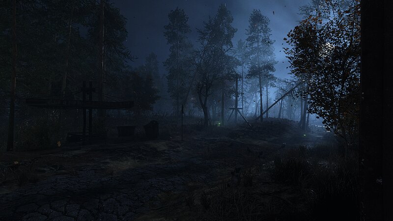 Abandoned Well in Forest