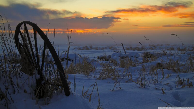 Abandoned Wheel in Snow