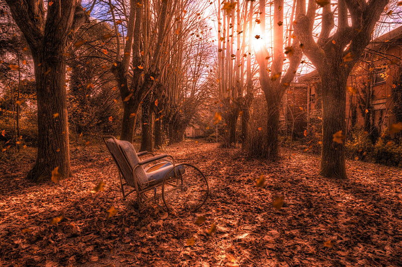 Abandoned Wheelchair in Forest — Brown