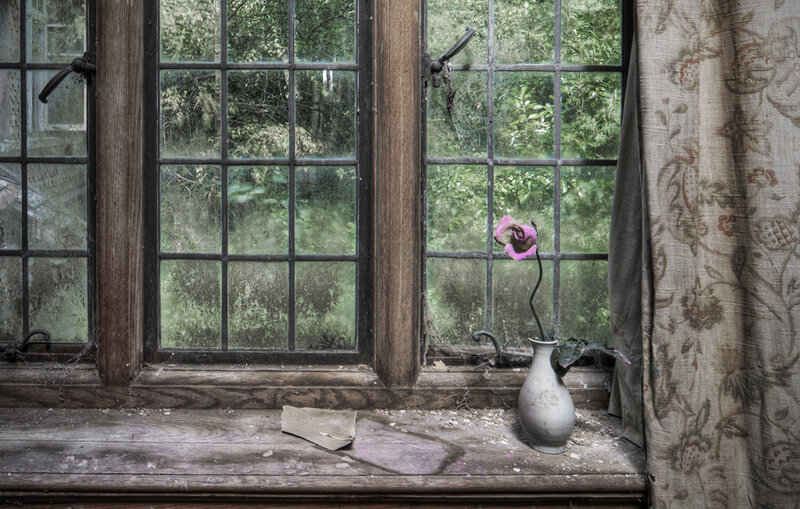 abandoned window with flower