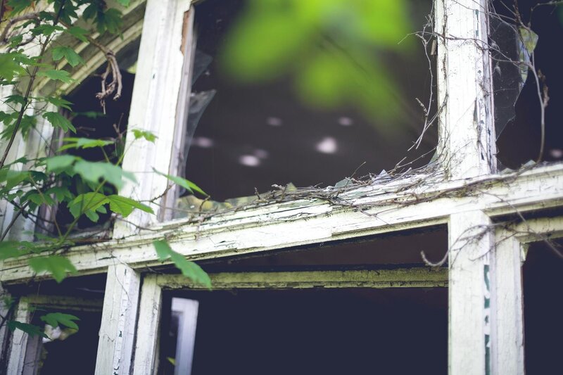abandoned window with vines