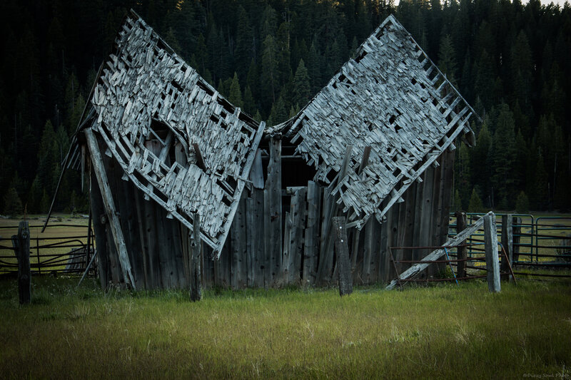 Abandoned Wooden Barn — Green, Dramatic, Sunset