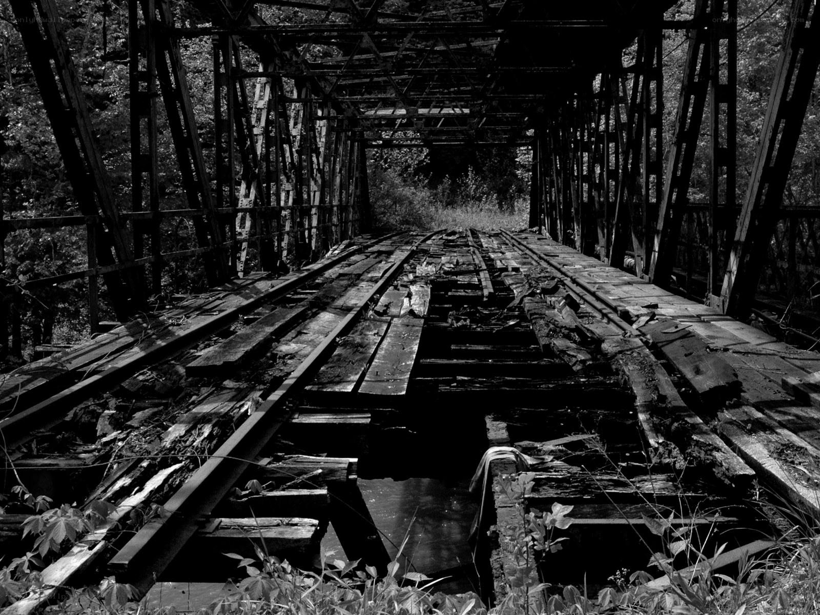 Abandoned wooden bridge