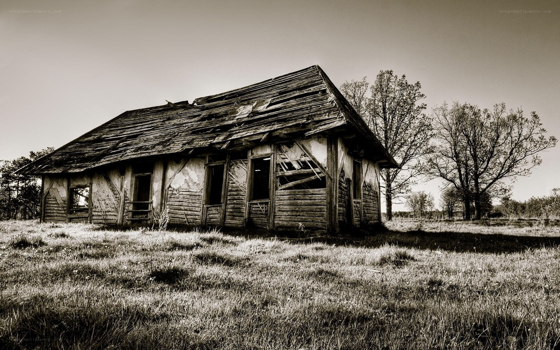 Abandoned wooden cabin
