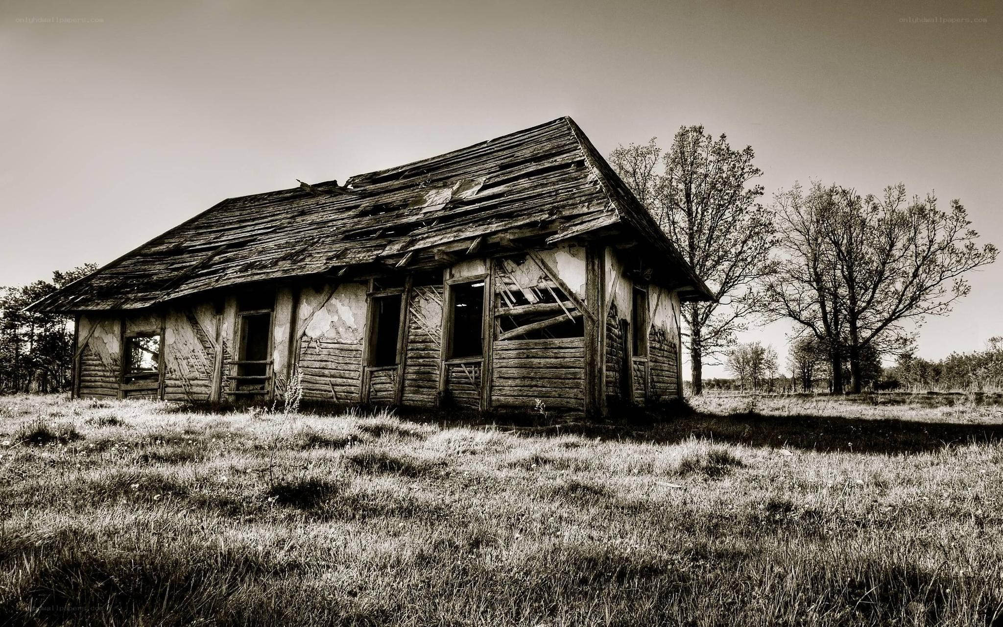 abandoned wooden cabin
