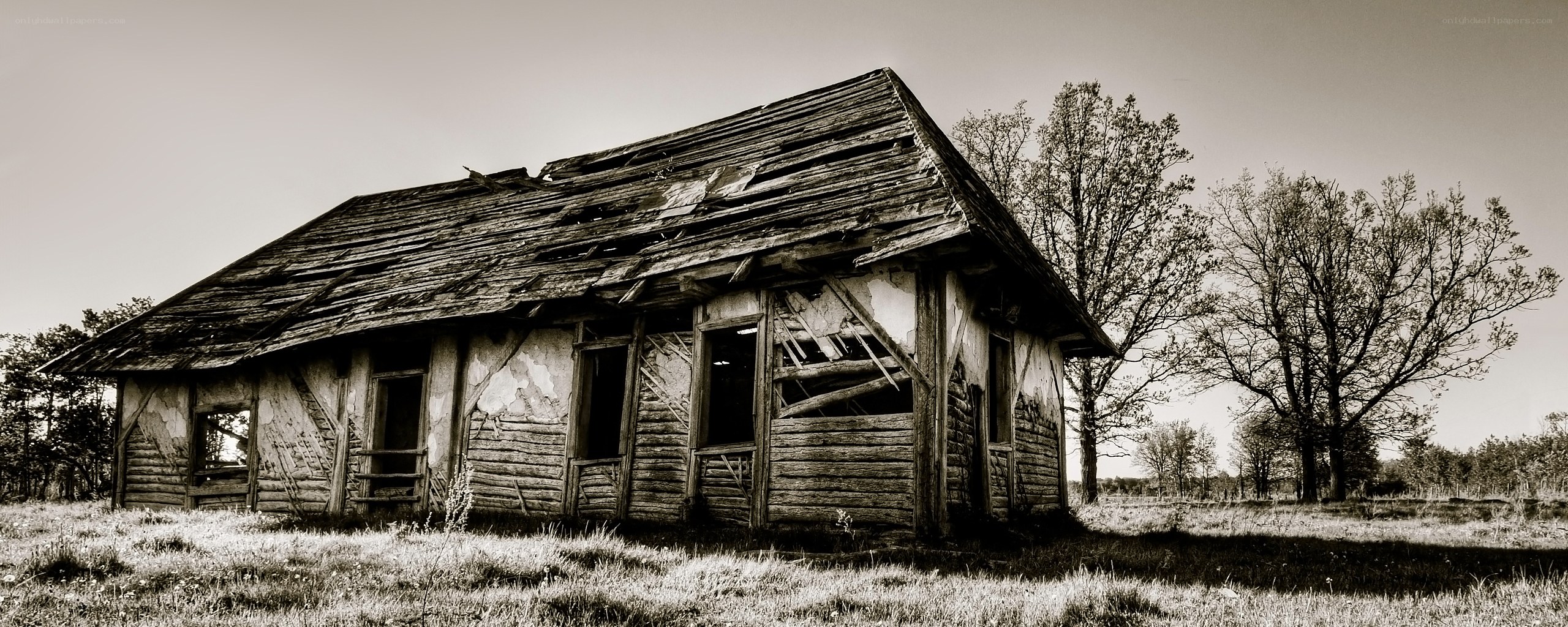 abandoned wooden cabin