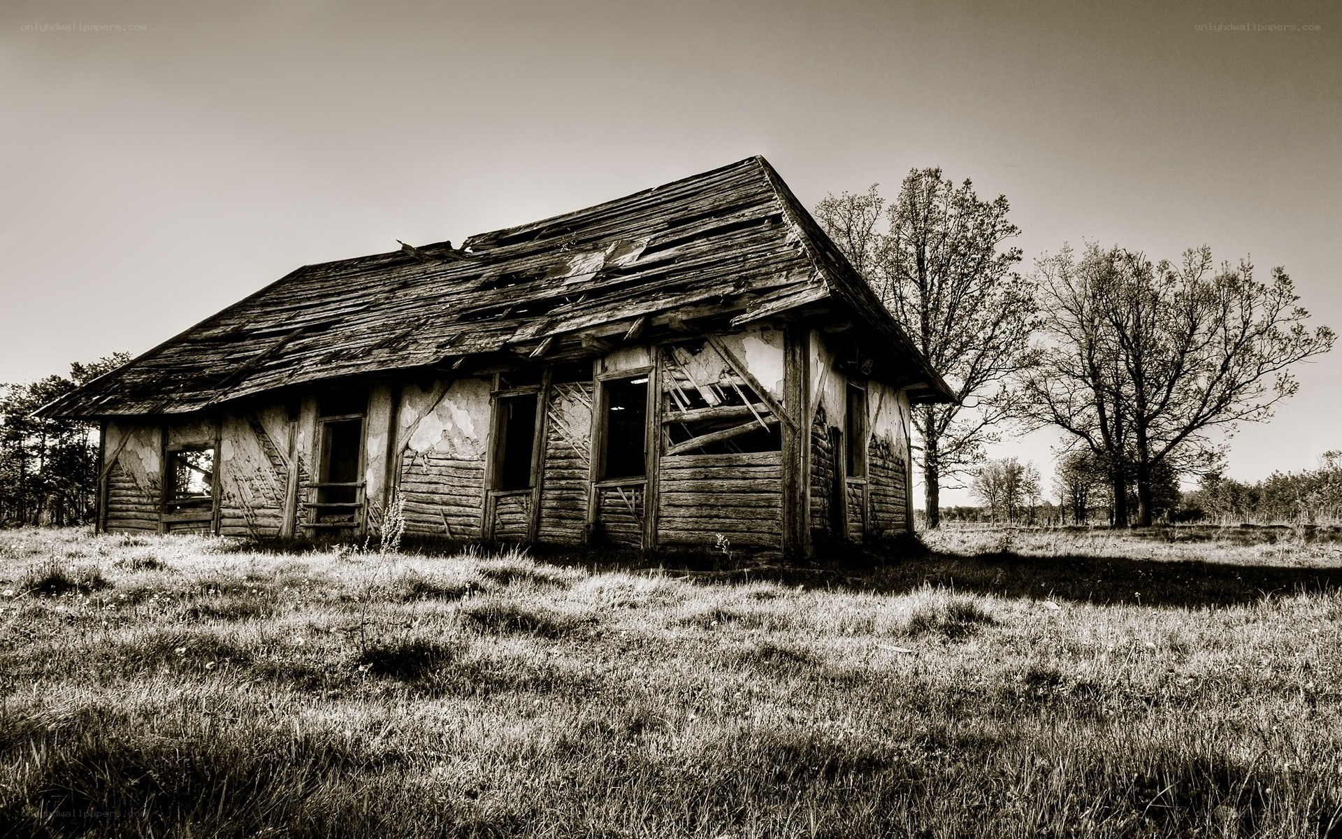 Abandoned wooden cabin