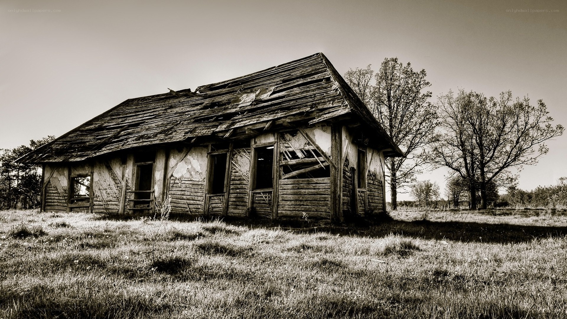 abandoned wooden cabin