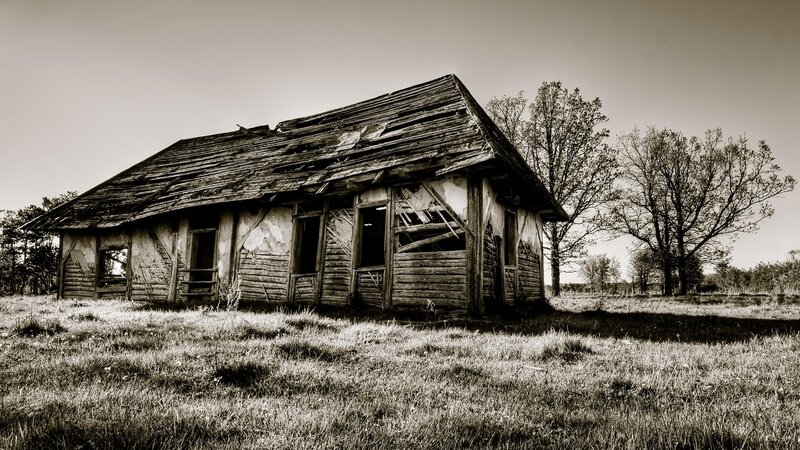 Abandoned Wooden Cabin — Black, Desolate, Photograph, Grass, Trees, Roof