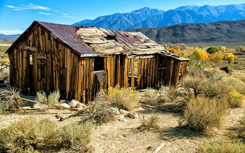 Abandoned Wooden Cabin — Brown, Desolate, Autumn