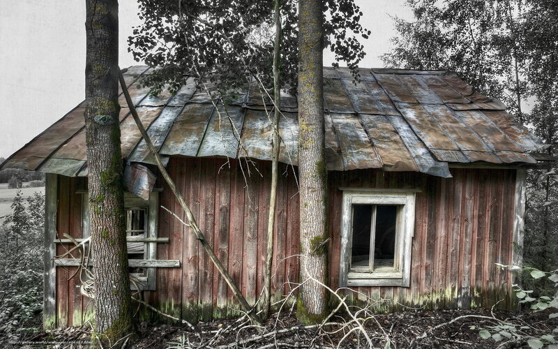 Abandoned Wooden Cabin — Brown, Desolate, Photograph