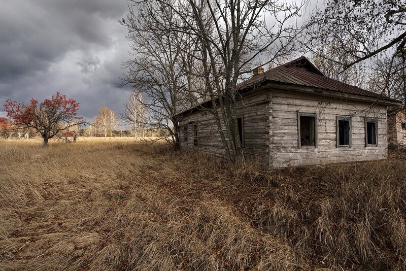 Abandoned Wooden Cabin — Brown, Dramatic, Autumn, Photograph
