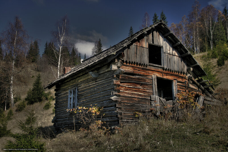 Abandoned Wooden Cabin — Brown, Dramatic, Autumn