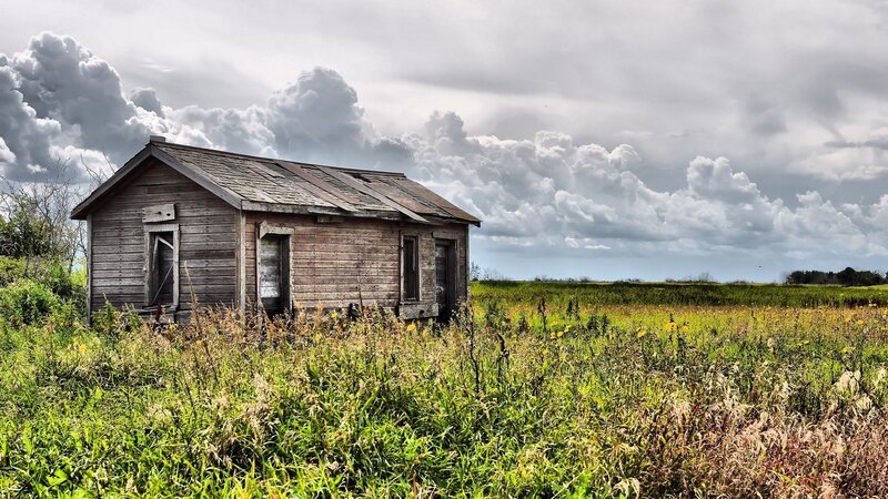 Abandoned Wooden Cabin — Green, Dramatic, Afternoon