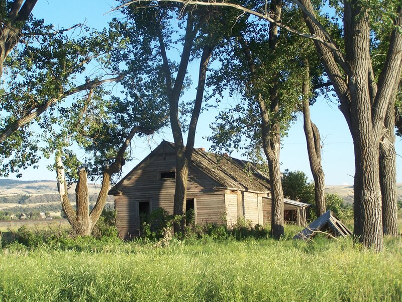 Abandoned Wooden Cabin — Green, Serene