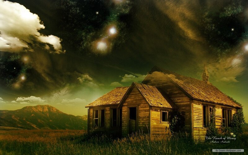 Abandoned Wooden Cabin — Green