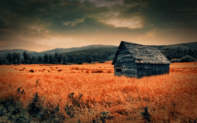 Abandoned Wooden Cabin — Orange