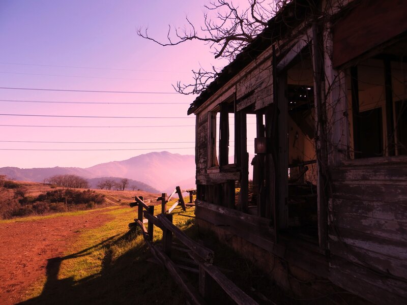 Abandoned Wooden Cabin — Purple