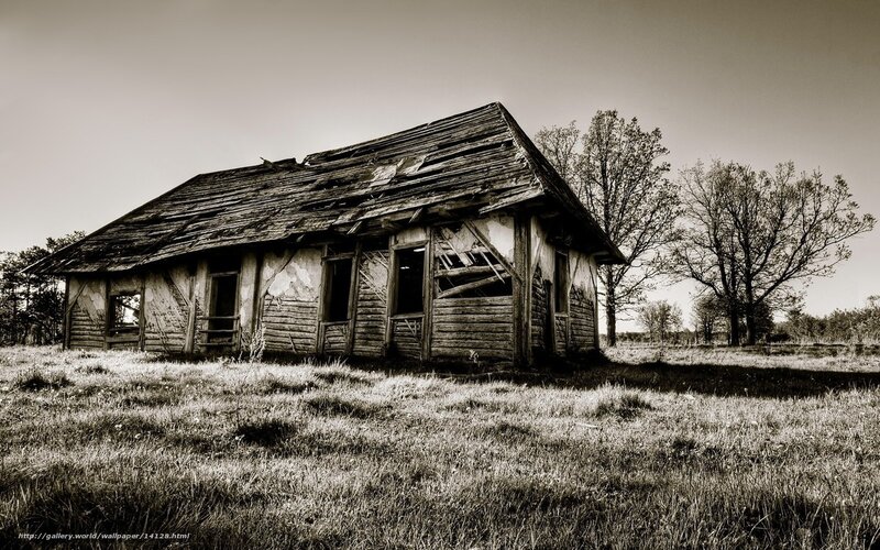 Abandoned wooden cabin