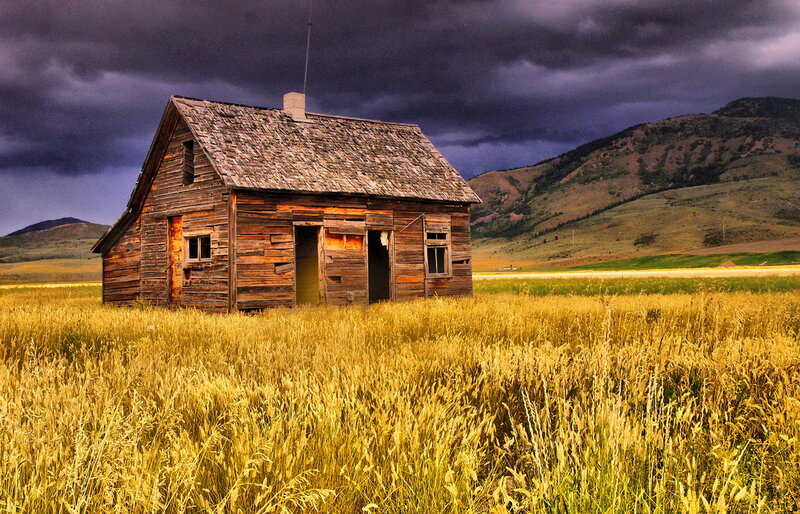 Abandoned Wooden Cabin — Yellow