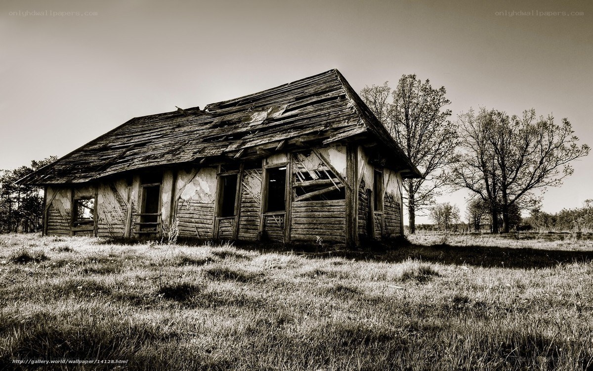 Abandoned wooden cabin