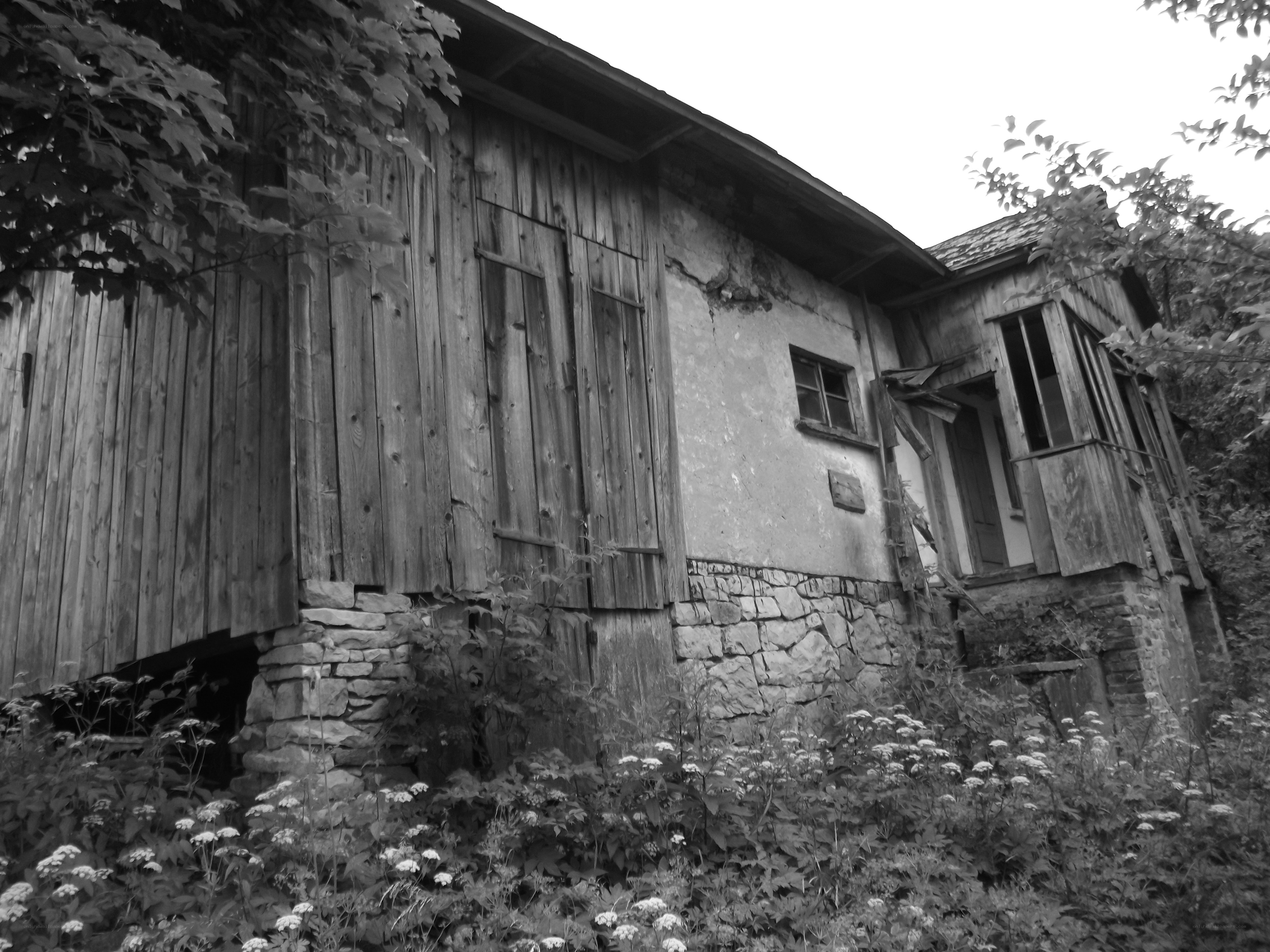 Abandoned wooden house