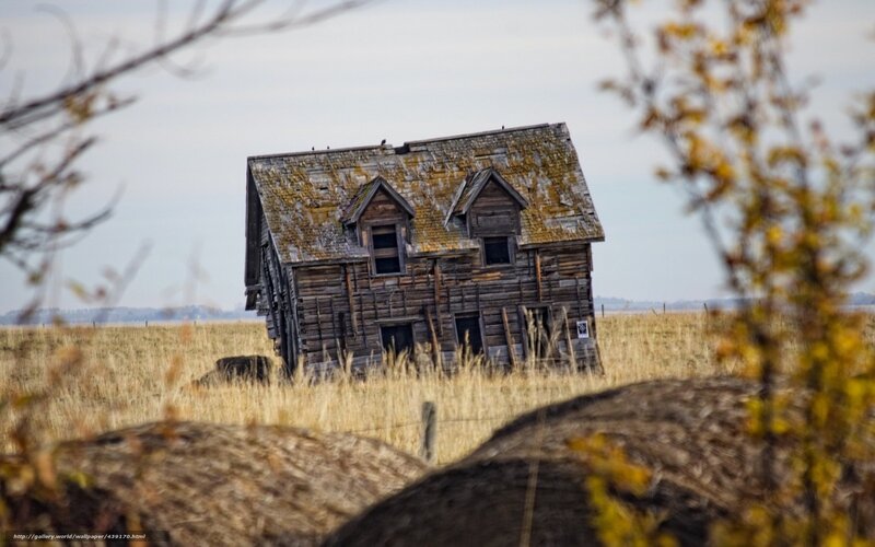 Abandoned Wooden House — Brown, Desolate, Autumn