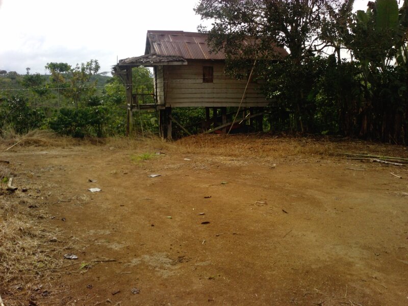 Abandoned Wooden House — Brown, Overcast