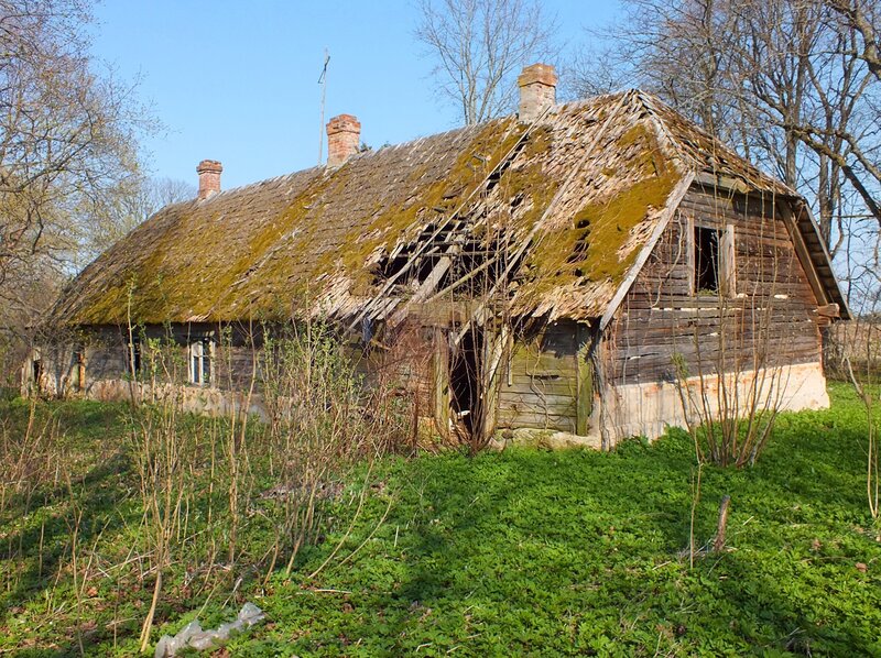 Abandoned Wooden House — Green, Desolate, Spring