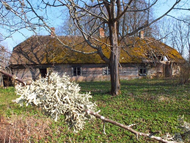 Abandoned Wooden House — Green, Desolate