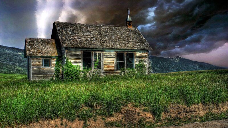 Abandoned Wooden House — Green, Dramatic, Afternoon