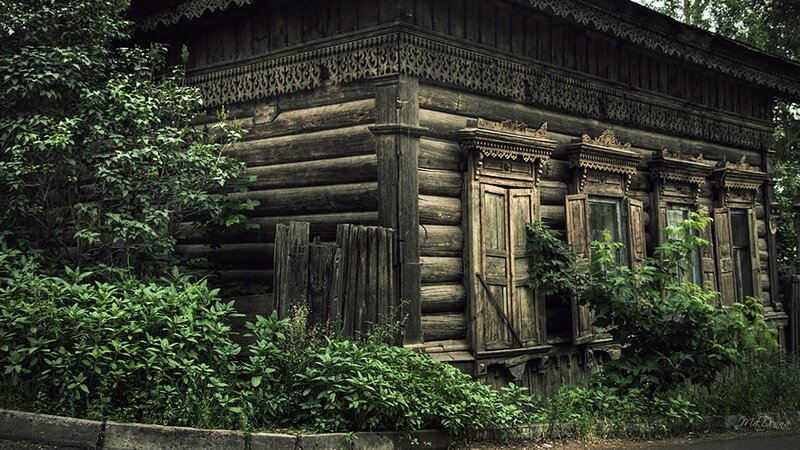 Abandoned Wooden House — Green, Overgrown