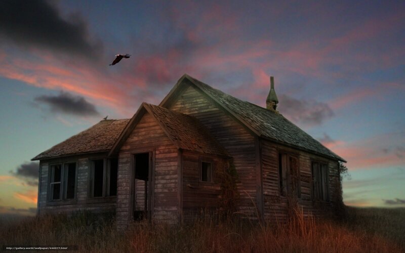 Abandoned Wooden House — Purple
