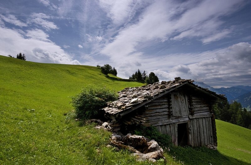 Abandoned Wooden Hut — Green