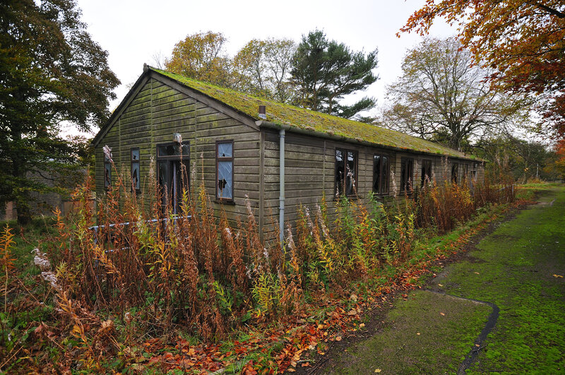 abandoned wooden hut in autumn