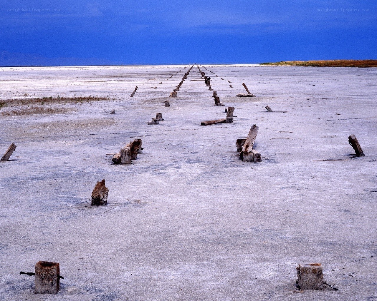 Abandoned wooden posts in salt flat