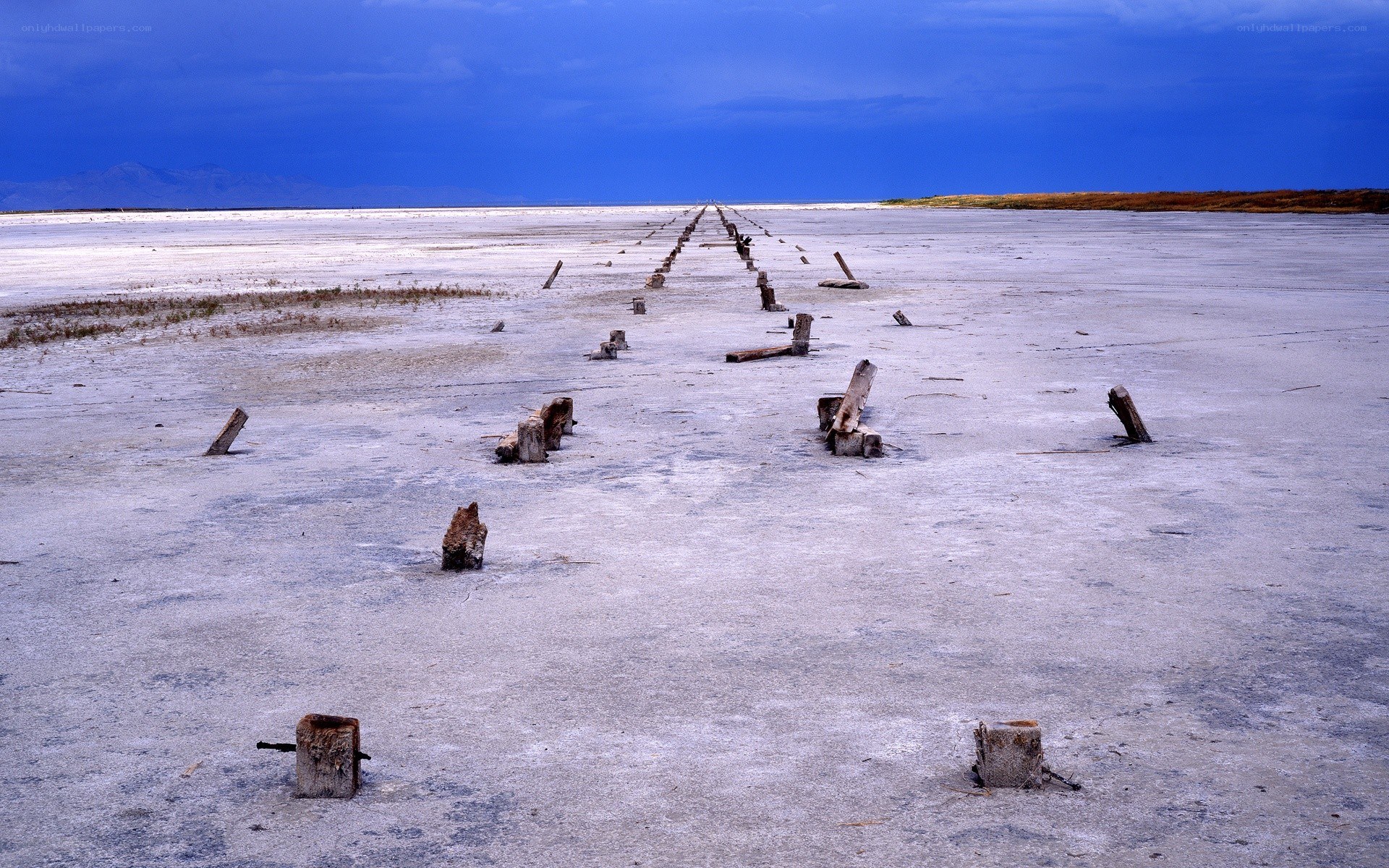 Abandoned wooden posts in salt flat