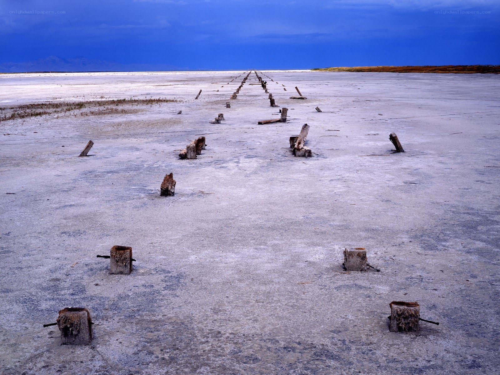 abandoned wooden posts on salt flat