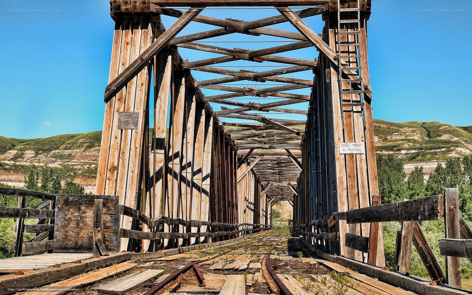 Abandoned wooden railway bridge