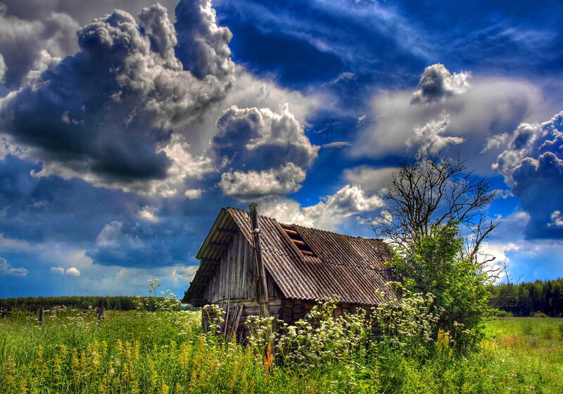 Abandoned Wooden Shed — Blue