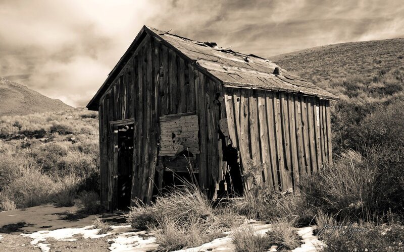 Abandoned Wooden Shed — Brown, Desolate