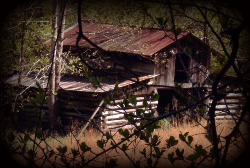 Abandoned Wooden Shed — Brown