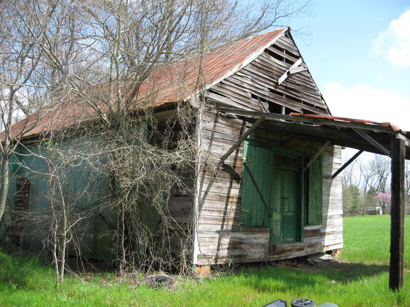 Abandoned Wooden Shed — Green, Desolate, Spring