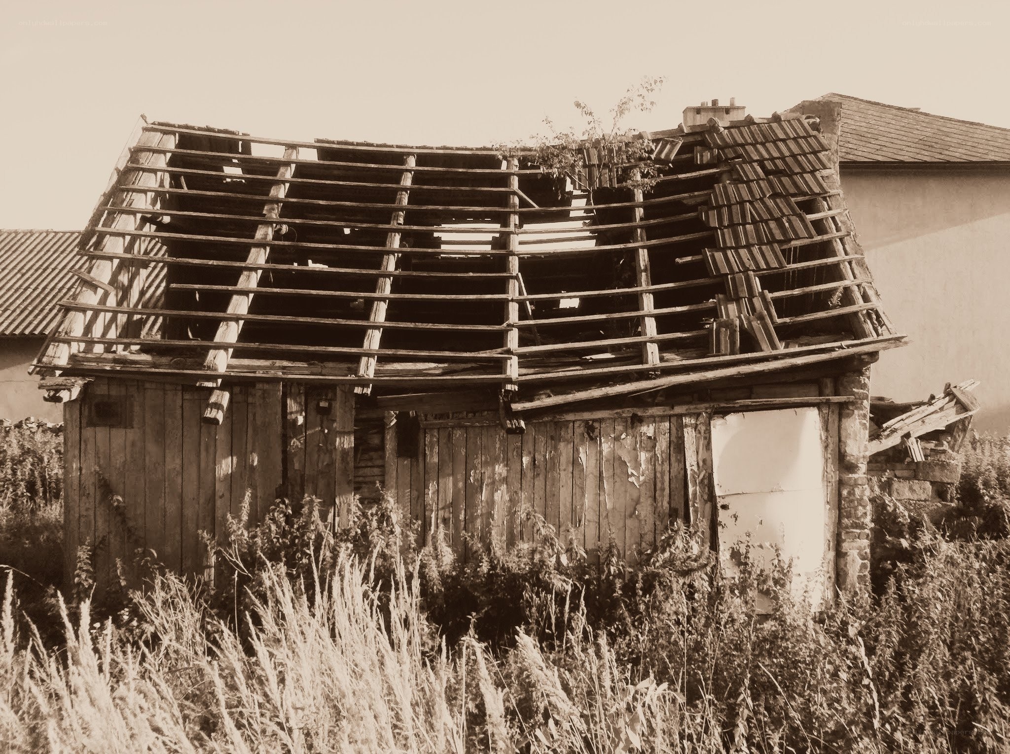 Abandoned wooden shed