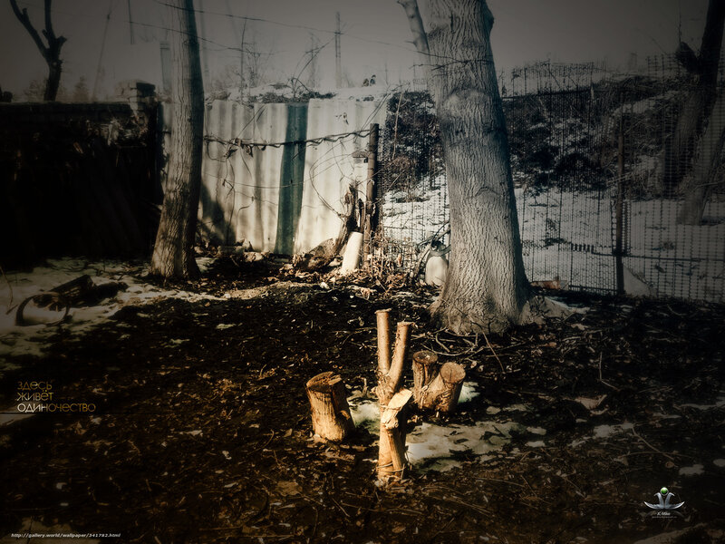 Abandoned yard in winter