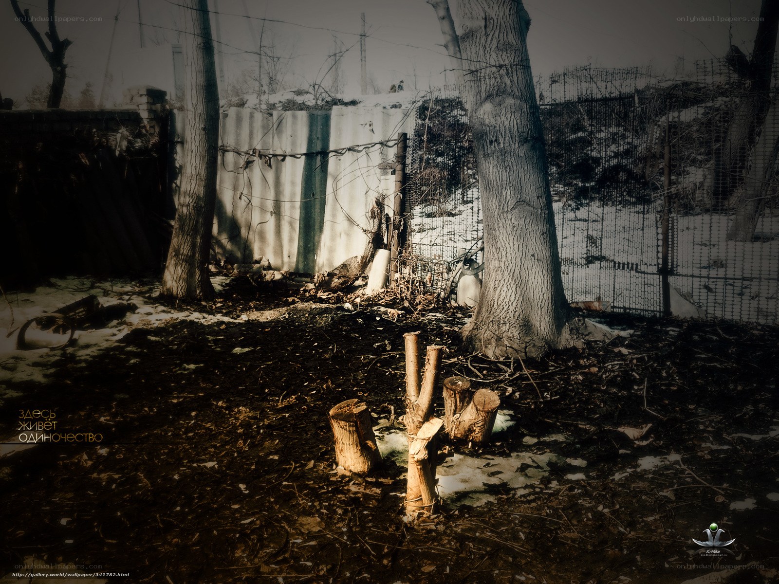 Abandoned yard in winter
